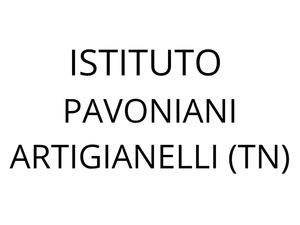 partner taga italia canon